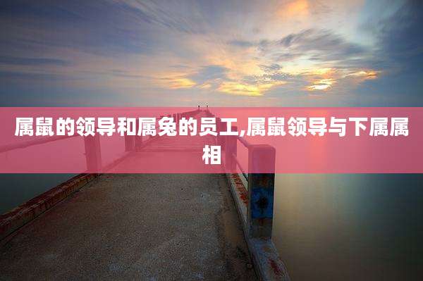 属鼠的领导和属兔的员工,属鼠领导与下属属相