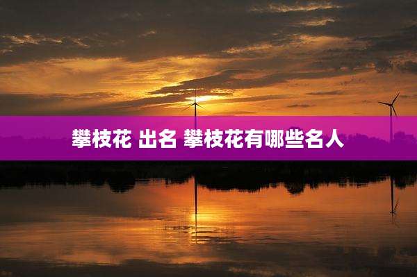 攀枝花 出名 攀枝花有哪些名人