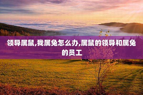 领导属鼠,我属兔怎么办,属鼠的领导和属兔的员工