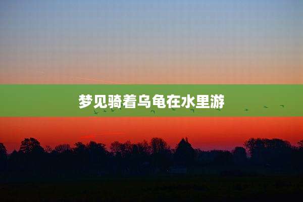 梦见骑着乌龟在水里游