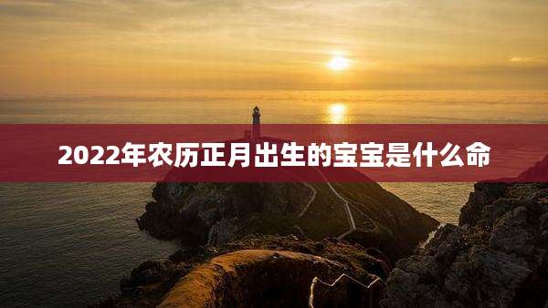 2022年农历正月出生的宝宝是什么命