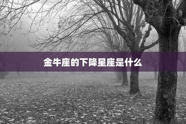 金牛座的下降星座是什么