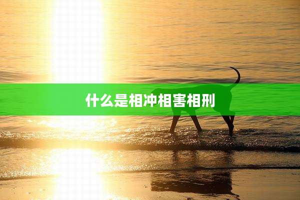 什么是相冲相害相刑