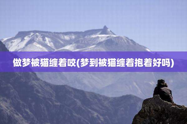 做梦被猫缠着咬(梦到被猫缠着抱着好吗)
