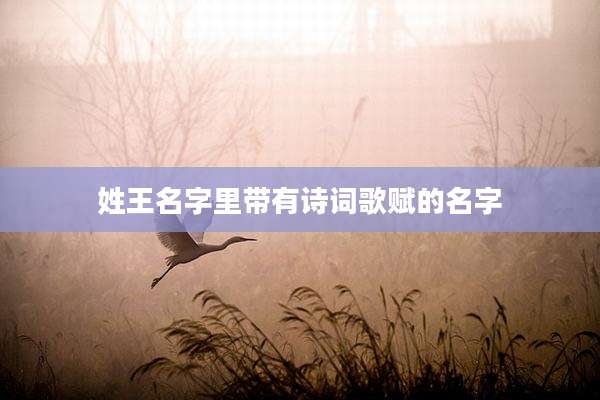 姓王名字里带有诗词歌赋的名字