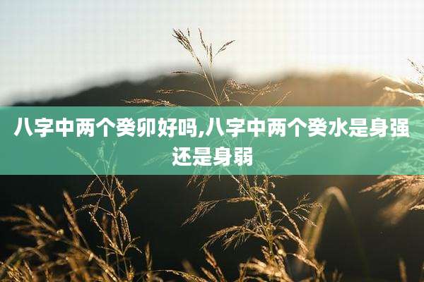 八字中两个癸卯好吗,八字中两个癸水是身强还是身弱