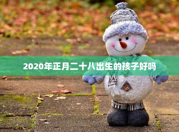 2020年正月二十八出生的孩子好吗
