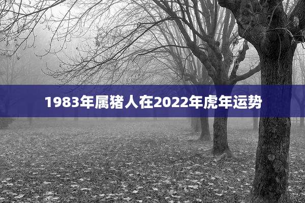 1983年属猪人在2022年虎年运势