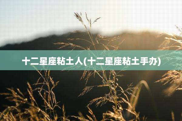 十二星座粘土人(十二星座粘土手办)