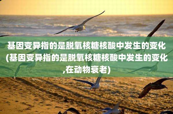 基因变异指的是脱氧核糖核酸中发生的变化(基因变异指的是脱氧核糖核酸中发生的变化,在动物衰老)