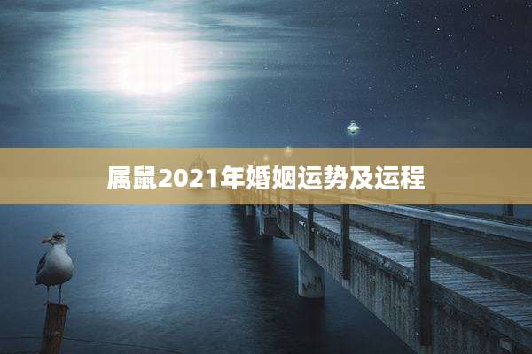 属鼠2021年婚姻运势及运程