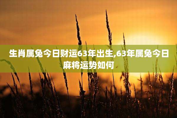 生肖属兔今日财运63年出生,63年属兔今日麻将运势如何
