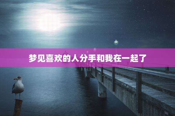 梦见喜欢的人分手和我在一起了