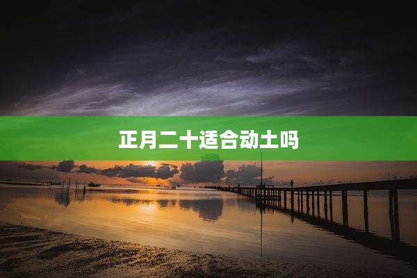 正月二十适合动土吗