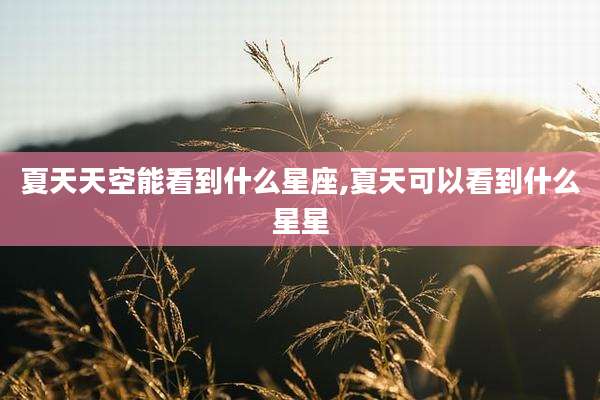 夏天天空能看到什么星座,夏天可以看到什么星星