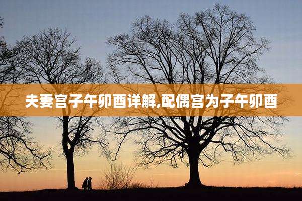 夫妻宫子午卯酉详解,配偶宫为子午卯酉