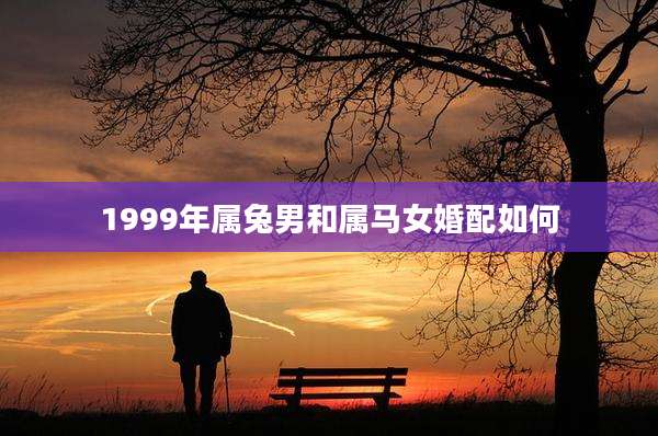1999年属兔男和属马女婚配如何
