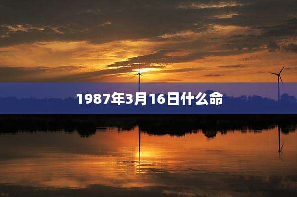 1987年3月16日什么命