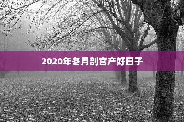2020年冬月剖宫产好日子