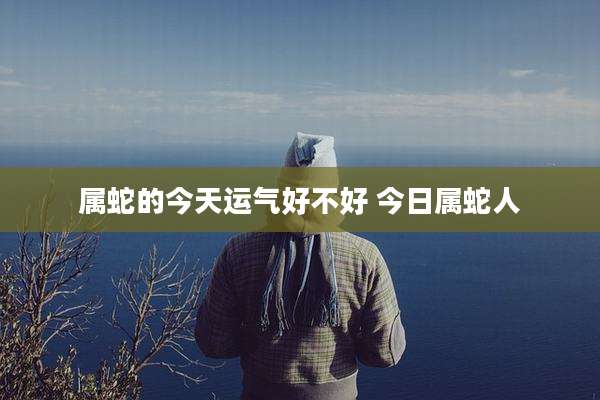 属蛇的今天运气好不好 今日属蛇人