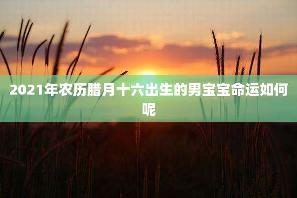 2021年农历腊月十六出生的男宝宝命运如何呢