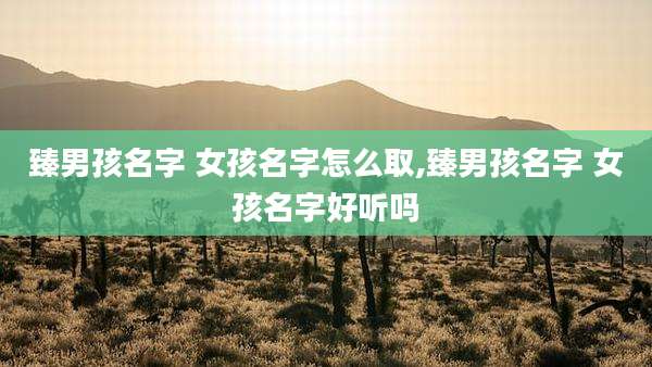 臻男孩名字 女孩名字怎么取,臻男孩名字 女孩名字好听吗