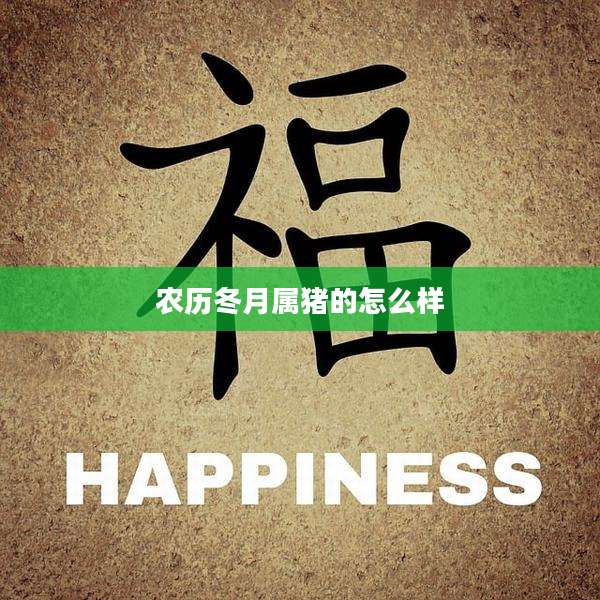 农历冬月属猪的怎么样