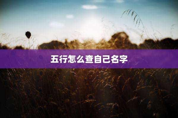 五行怎么查自己名字