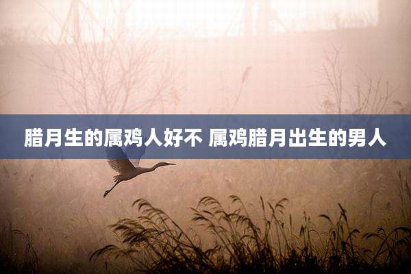 腊月生的属鸡人好不 属鸡腊月出生的男人