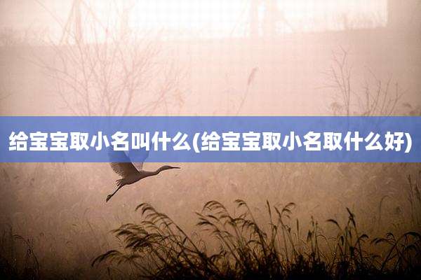 给宝宝取小名叫什么(给宝宝取小名取什么好)