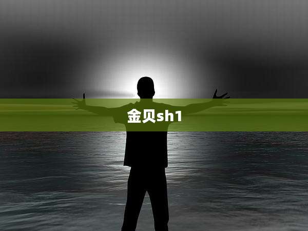 金贝sh1