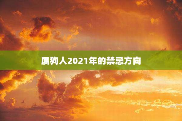 属狗人2021年的禁忌方向