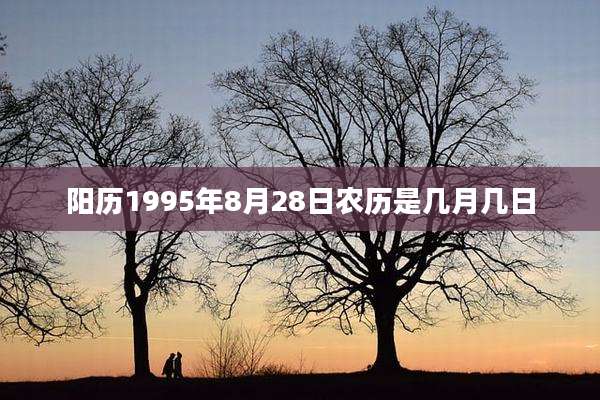 阳历1995年8月28日农历是几月几日