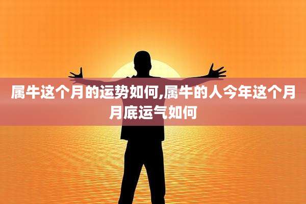 属牛这个月的运势如何,属牛的人今年这个月月底运气如何