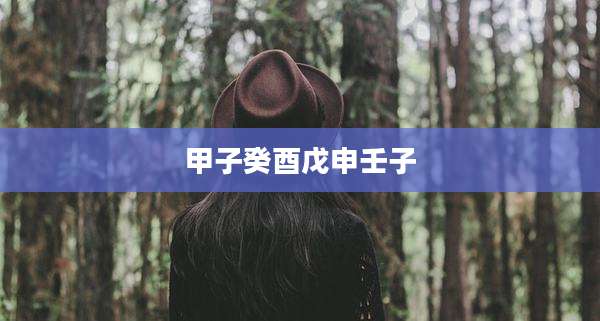 甲子癸酉戊申壬子