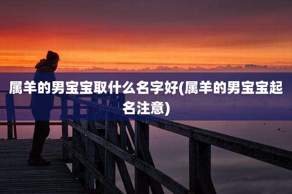 属羊的男宝宝取什么名字好(属羊的男宝宝起名注意)
