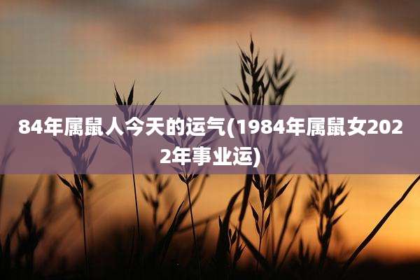 84年属鼠人今天的运气(1984年属鼠女2022年事业运)