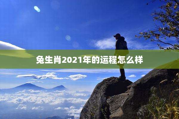 兔生肖2021年的运程怎么样