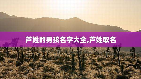 芦姓的男孩名字大全,芦姓取名