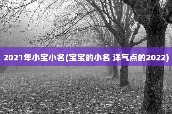 2021年小宝小名(宝宝的小名 洋气点的2022)