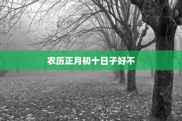 农历正月初十日子好不