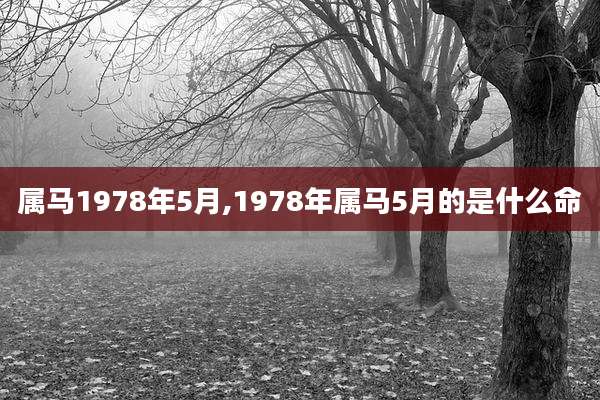 属马1978年5月,1978年属马5月的是什么命