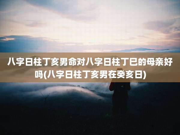 八字日柱丁亥男命对八字日柱丁巳的母亲好吗(八字日柱丁亥男在癸亥日)