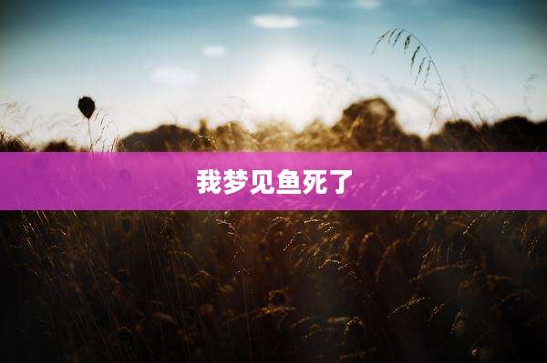 我梦见鱼死了