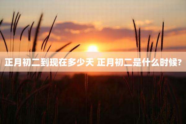 正月初二到现在多少天 正月初二是什么时候?