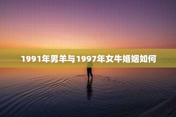 1991年男羊与1997年女牛婚姻如何