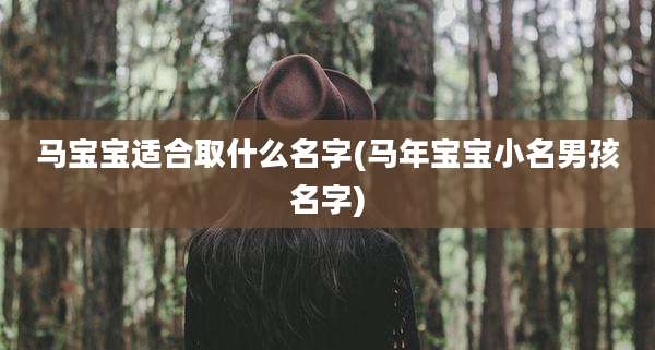 马宝宝适合取什么名字(马年宝宝小名男孩名字)