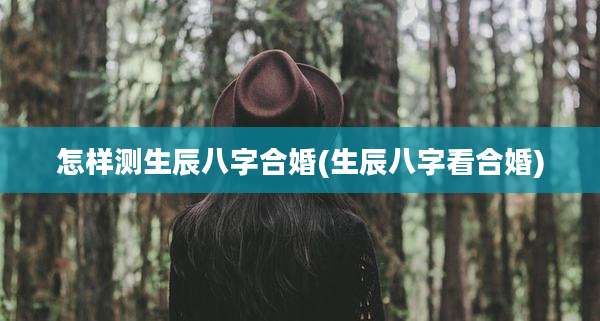 怎样测生辰八字合婚(生辰八字看合婚)