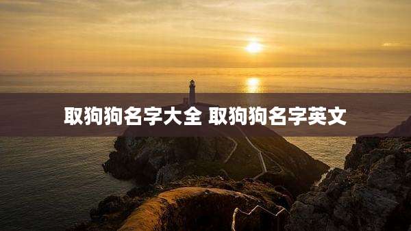 取狗狗名字大全 取狗狗名字英文