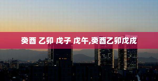 癸酉 乙卯 戊子 戊午,癸酉乙卯戊戌